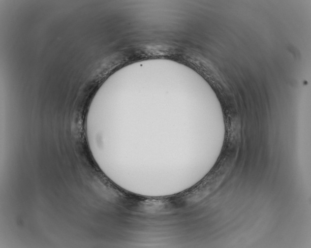 X0000111790418200908201136