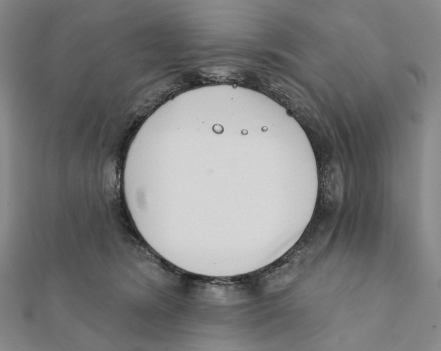 X0000111790420200908201136