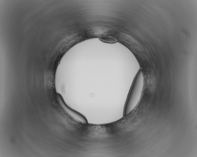 X0000111790421200908201136