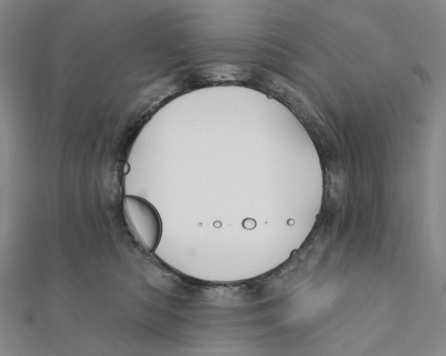 X0000111790422200908201136