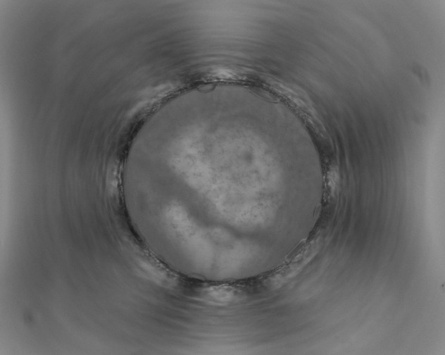 X0000111790423200908201136