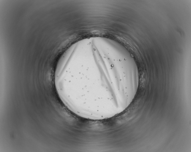 X0000111790424200908201136