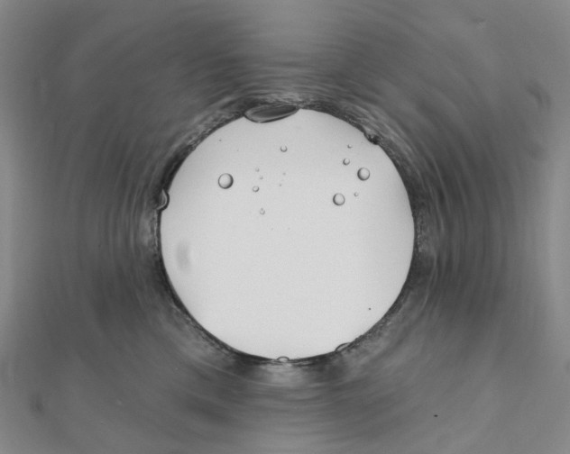 X0000111790425200908201136