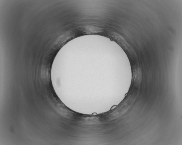 X0000111790426200908201136