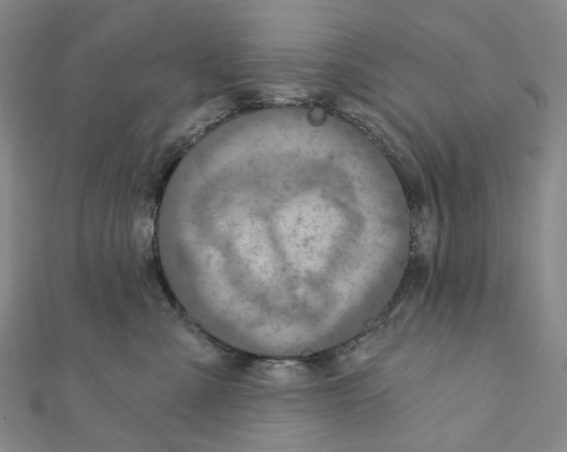 X0000111790427200908201136