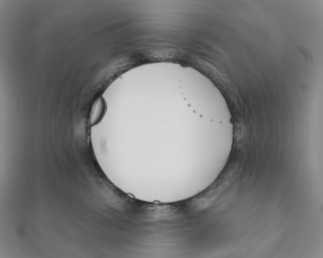 X0000111790428200908201136