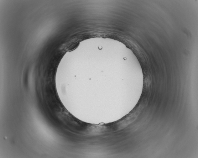 X0000111790429200908201136