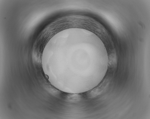 X0000111790431200908201136