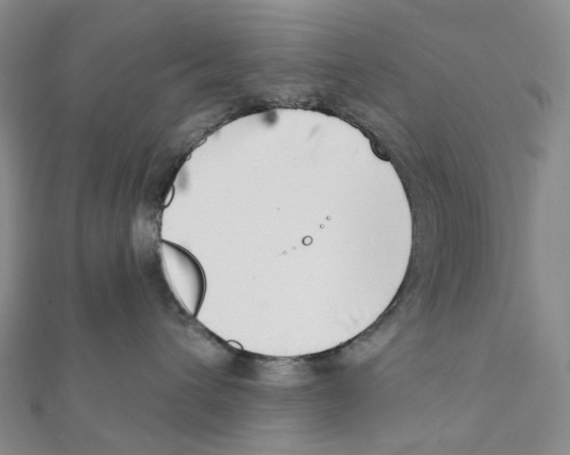 X0000111790432200908201136