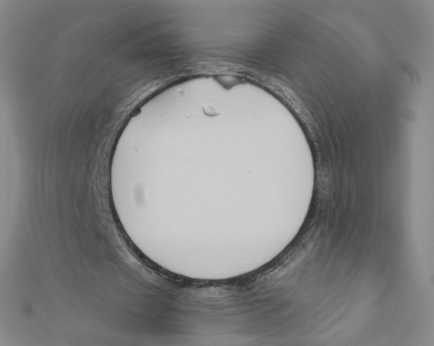 X0000111790433200908201135