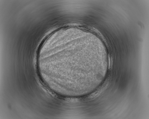 X0000111790435200908201135