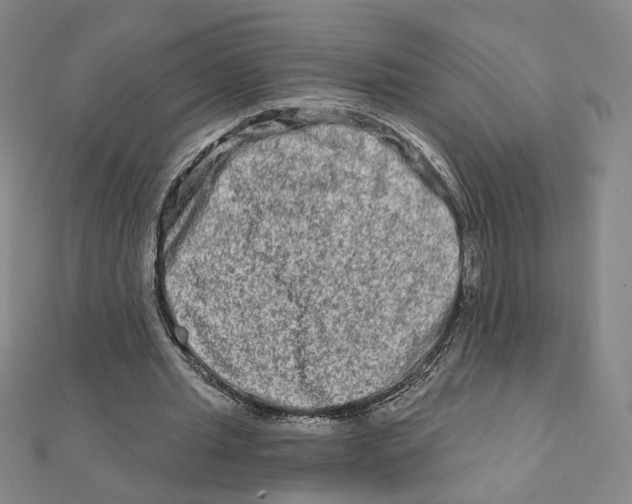 X0000111790437200908201135