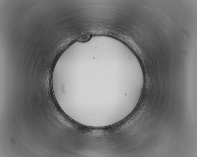 X0000111790441200908201135