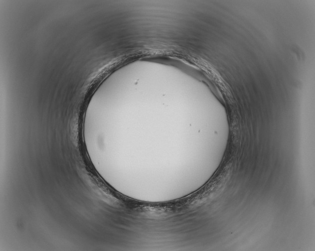 X0000111790442200908201135