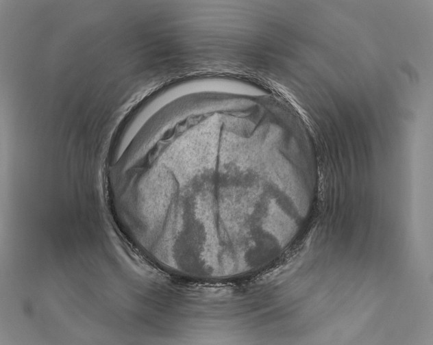 X0000111790443200908201135