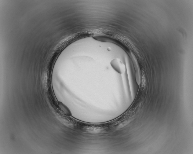 X0000111790444200908201135