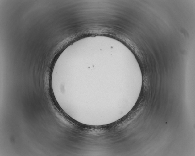 X0000111790445200908201135