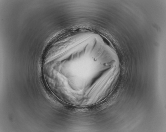 X0000111790446200908201135