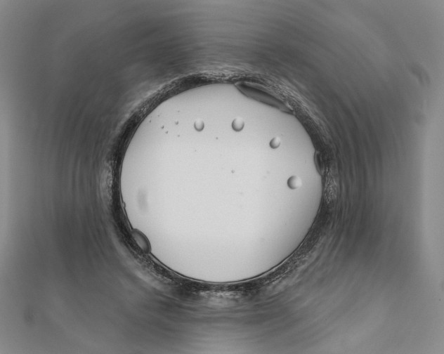 X0000111790448200908201135