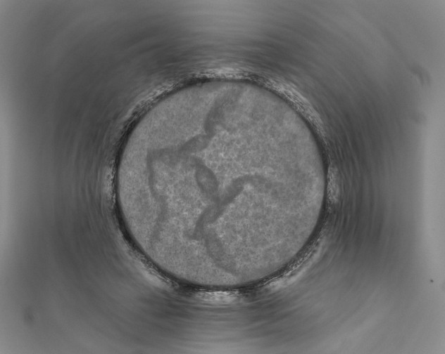 X0000111790449200908201135