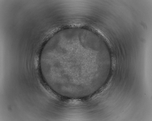 X0000111790451200908201135