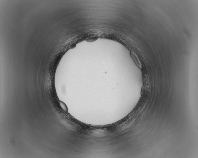 X0000111790456200908201135