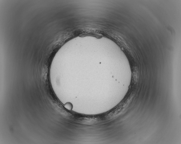 X0000111790458200908201135