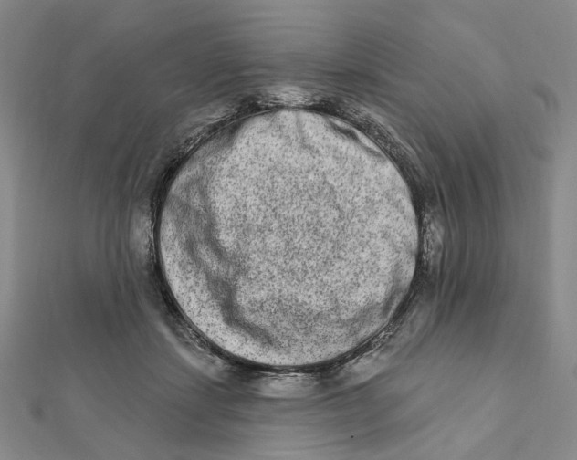 X0000111790459200908201135