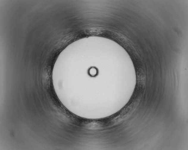 X0000111790460200908201135