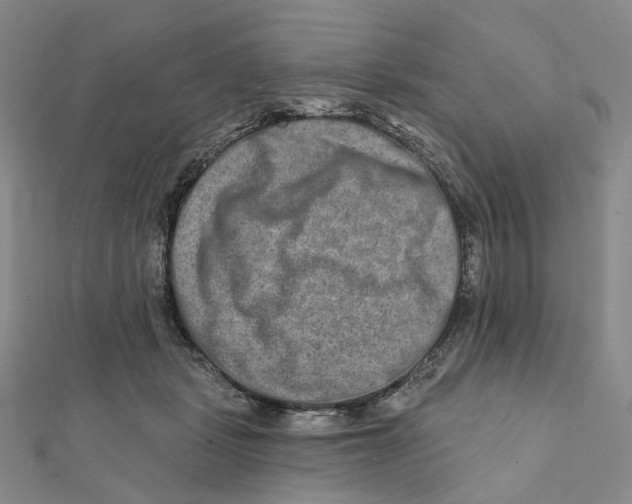 X0000111790461200908201135