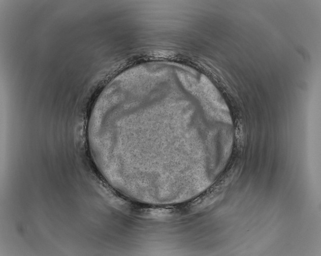 X0000111790462200908201135