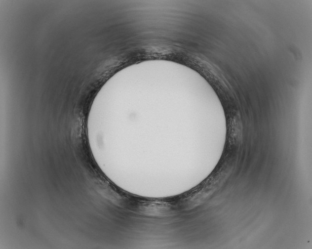 X0000111790463200908201135