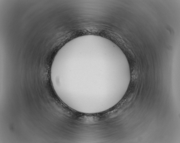 X0000111790464200908201135