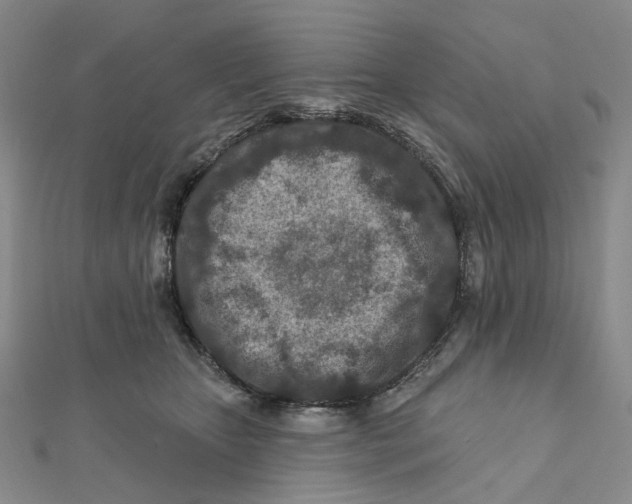 X0000111790467200908201135