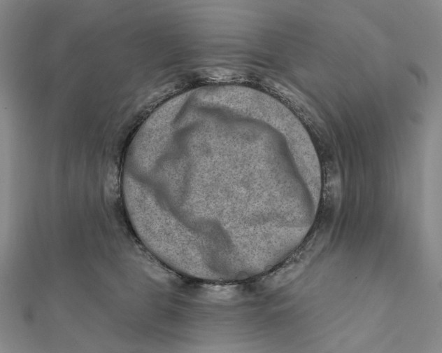 X0000111790469200908201135