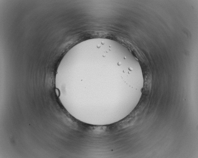 X0000111790474200908201135