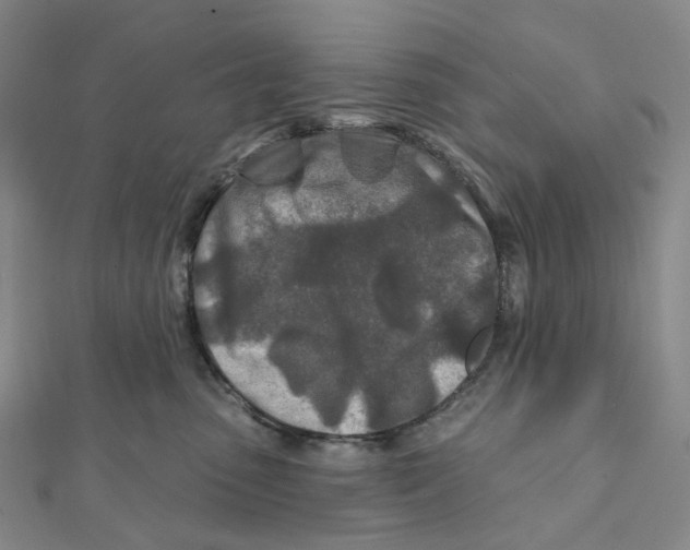 X0000111790475200908201135