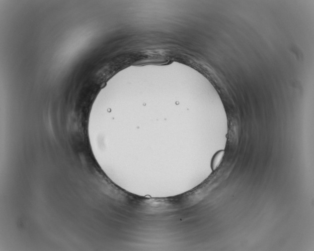 X0000111790477200908201135