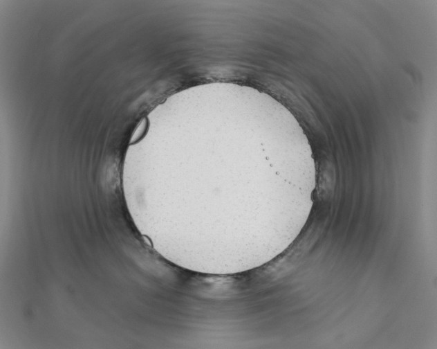 X0000111790478200908201135