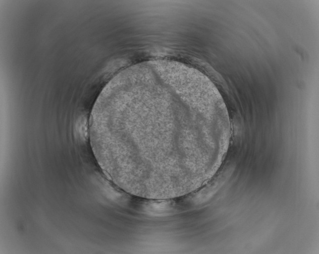 X0000111790479200908201135