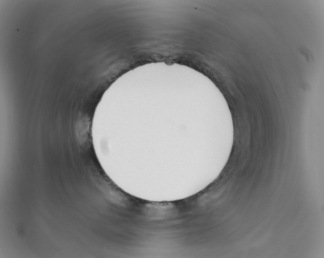 X0000111790480200908201135