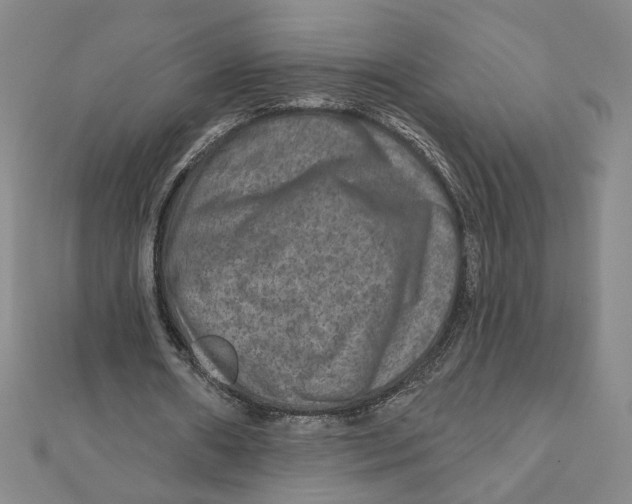 X0000111790482200908201135