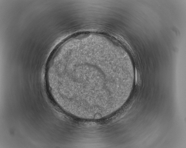 X0000111790483200908201135