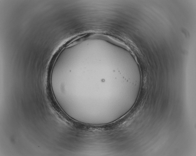 X0000111790484200908201135