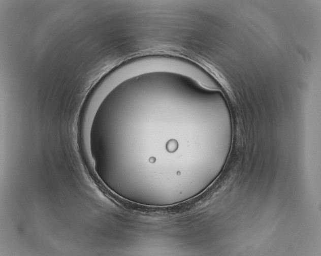 X0000111790485200908201135