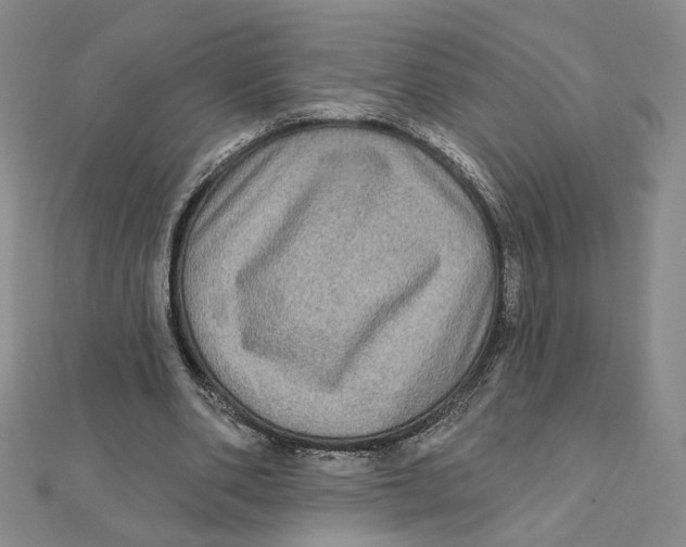 X0000111790486200908201135