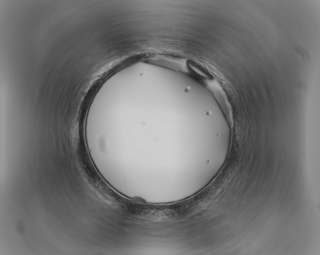 X0000111790488200908201135