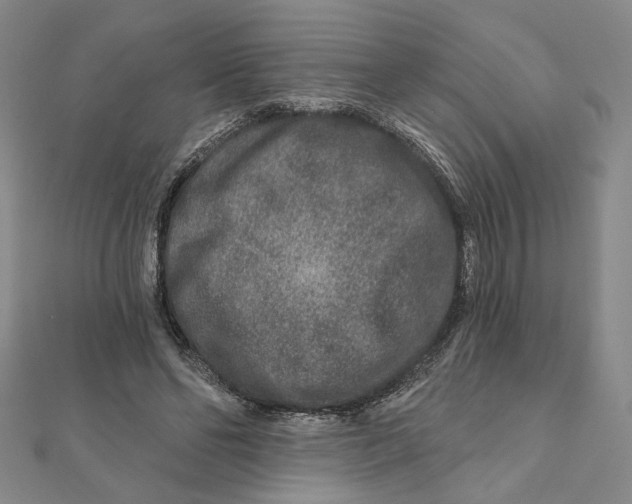 X0000111790494200908201135