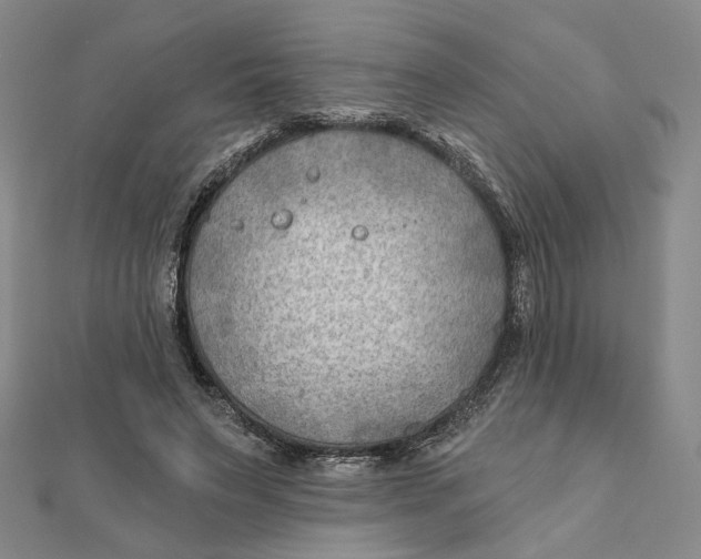 X0000111790495200908201135