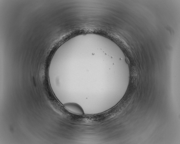 X0000111790496200908201135